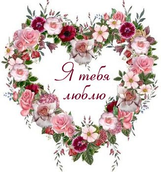 Алексей Баикин | Ярославль