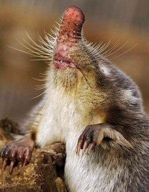 Юлия Ключища | Киев