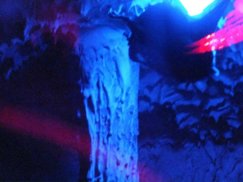 Алексей Тарасов | Москва