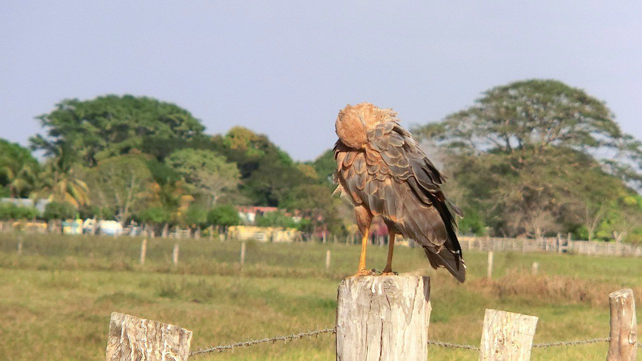 Виктория Иоаннидис | Москва
