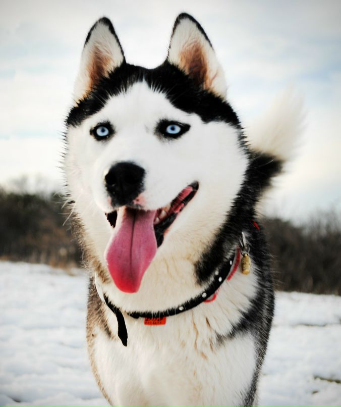 Юра Пищев ◄▌▌█▬▬100L▬▬█▐▐► | Симферополь