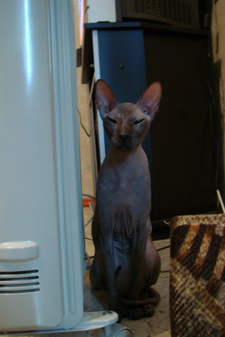 Денис Денисов | Мурманск