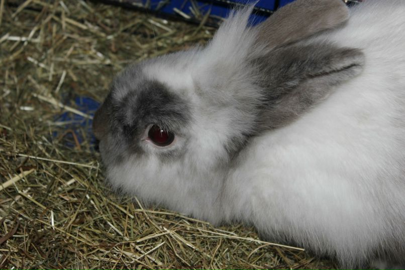 Никита Брага | Санкт-Петербург