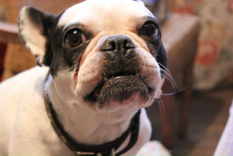 Никита Брага | Санкт-Петербург