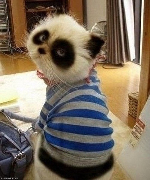 Екатерина Миронова | Сатка