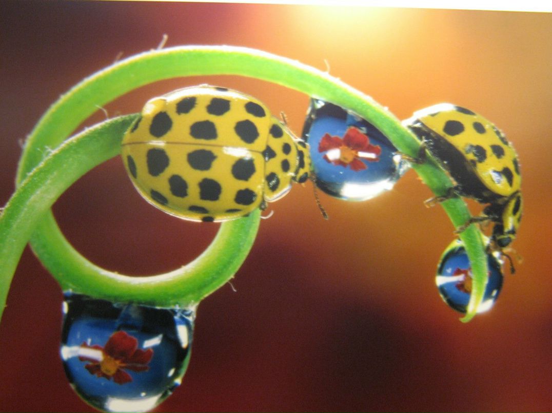 Мария Ишмуратова | Санкт-Петербург