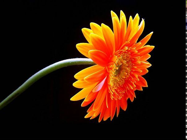 №15, Анна Горюн, 32 года №15, Анна Горюн, 32 года