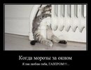 №13 Ильгиз Аглиуллин