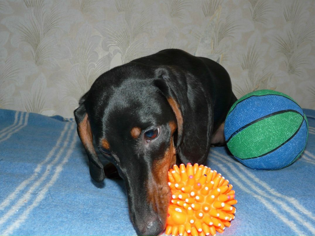 Игорь Гук Викторович | Киев