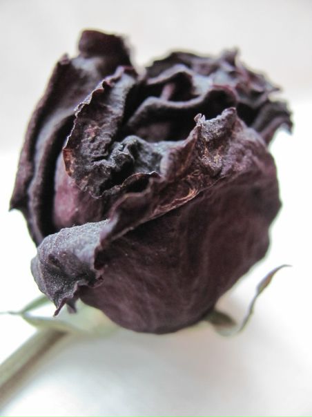 №110, Маргарита Байдук, Братск №110, Маргарита Байдук, Братск