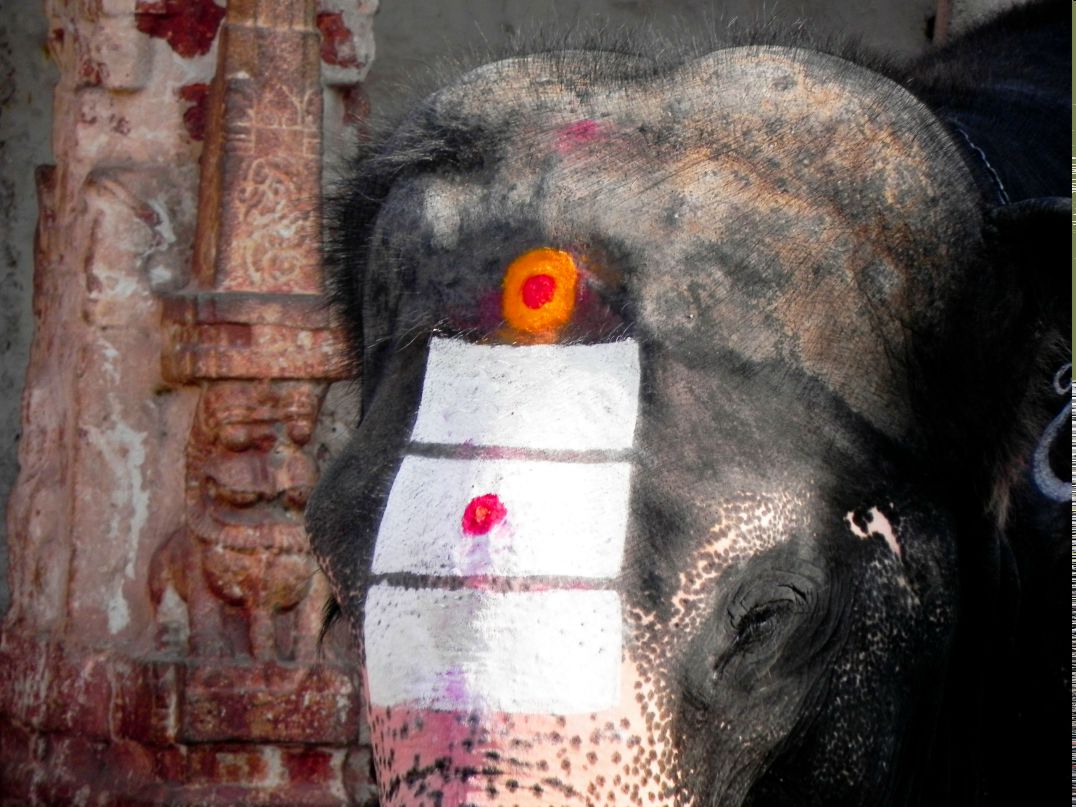 Deepak Signh | Bangalore