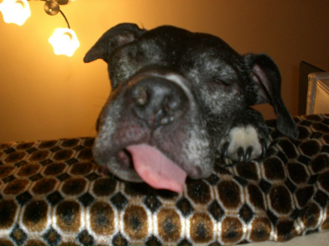 Светлана Вайнштейн | Санкт-Петербург