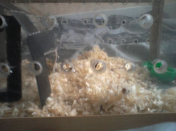 №5, Настя Брылина, Ульяновск №5, Настя Брылина, Ульяновск