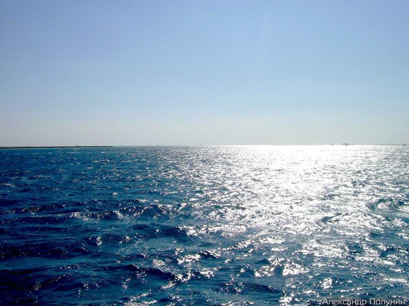 Лена Муркина | Санкт-Петербург