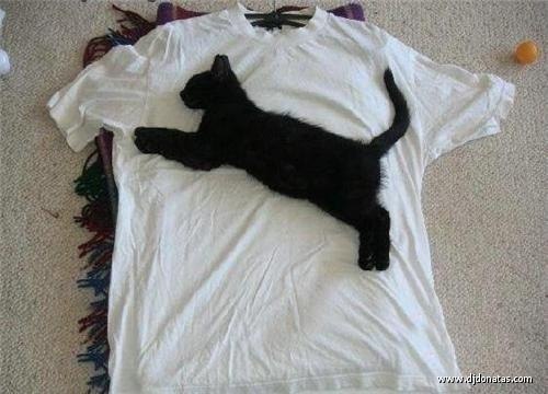 №21, Регина Регина, Курган №21, Регина Регина, Курган