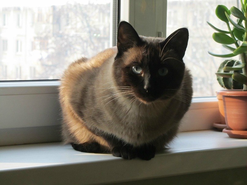 Баур Ермекбаев | Алматы