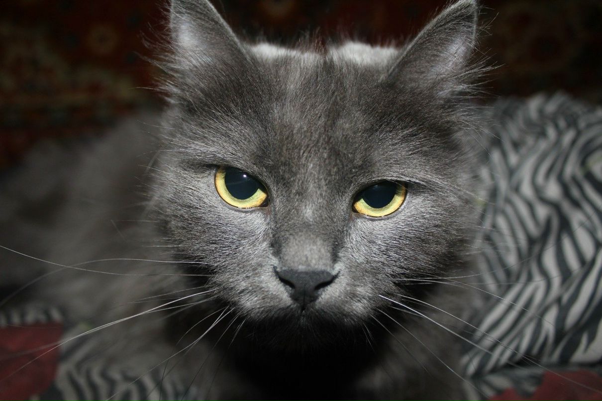 Алексей Петров | Белебей