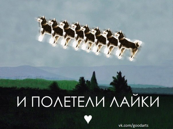 Dima Mosiychuk | Nicosia