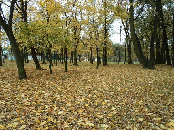 №10, Ихтияр Абдуллаев, Санкт-Петербург №10, Ихтияр Абдуллаев, Санкт-Петербург