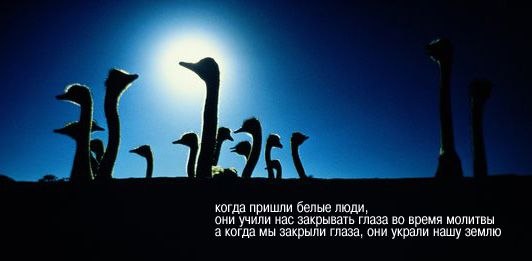 Елена Москвина | Ухта