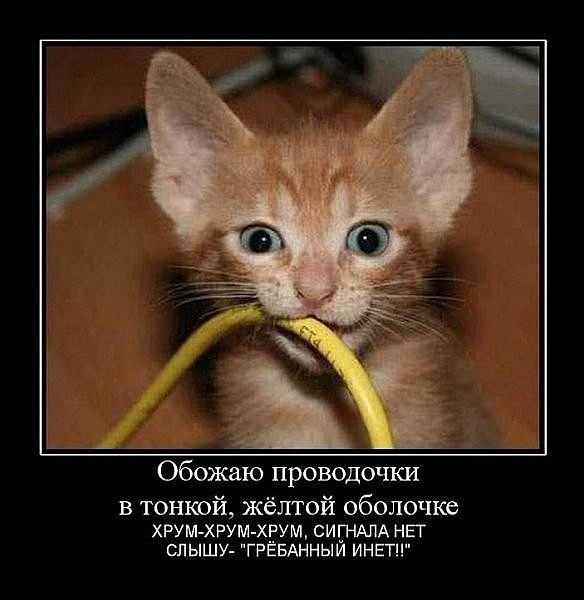 Иван Грозин Александрович | Хабаровск