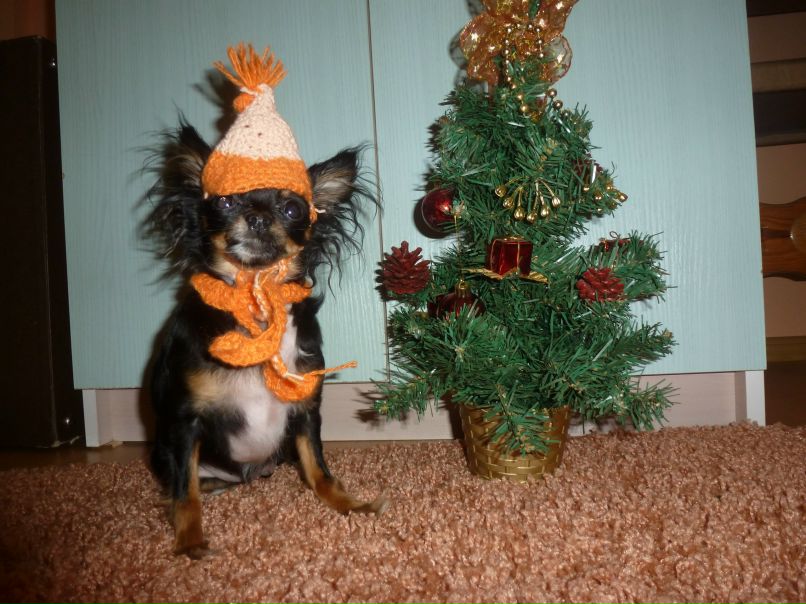 Олеся Декола | Гродно