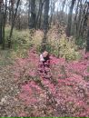 Фотография Жанна Мезенцева