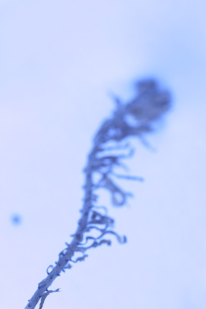 Наталья Сойко | Киев