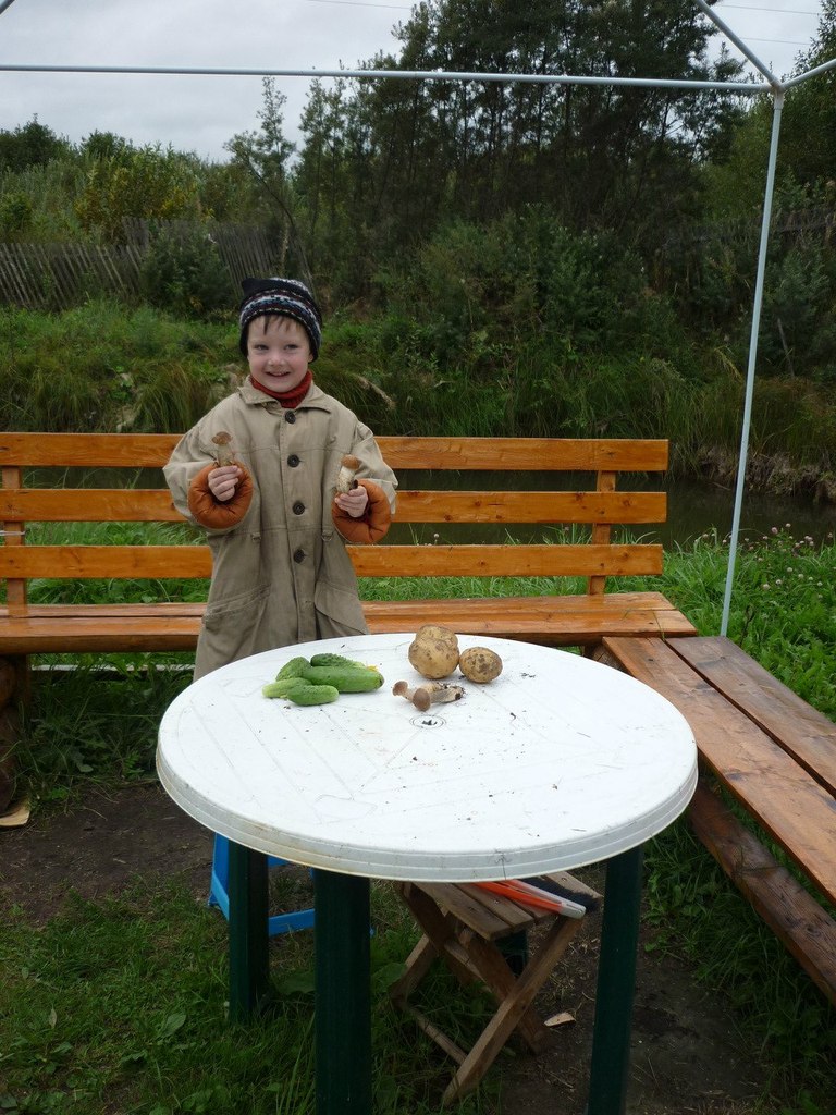 Лев Сибиряков | Вологда