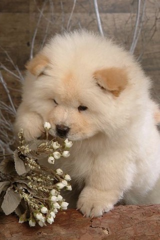 №173, Настена Васильева, 31 год, Улан-Удэ №173, Настена Васильева, 31 год, Улан-Удэ