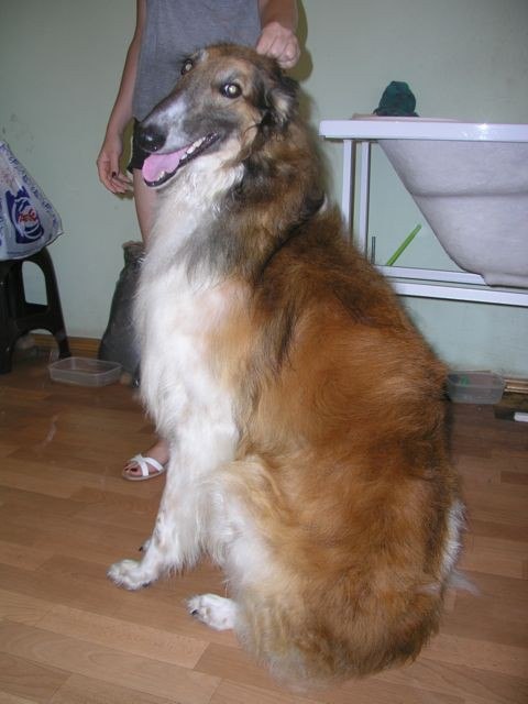 Влада Тимощук | Днепр (Днепропетровск)