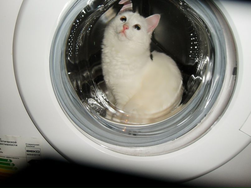 Елена Миловидова | Москва