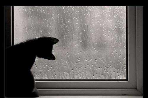 №28, Иван Волков, 33 года, Санкт-Петербург №28, Иван Волков, 33 года, Санкт-Петербург