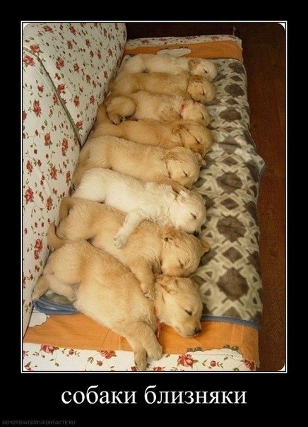 Юля Капелюшок | Киев