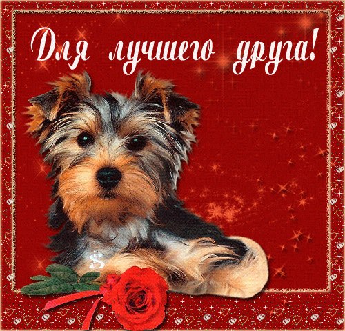 Наташа Иванчук | Черновцы