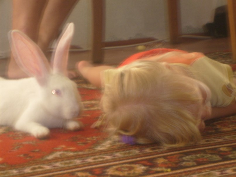 Ира Выдрина | Вологда