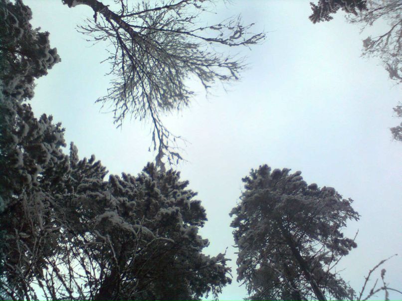 Максим Большаков | Москва