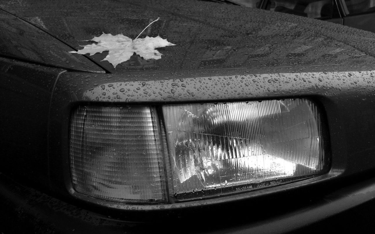 Илья Поликарпов Axel | Санкт-Петербург