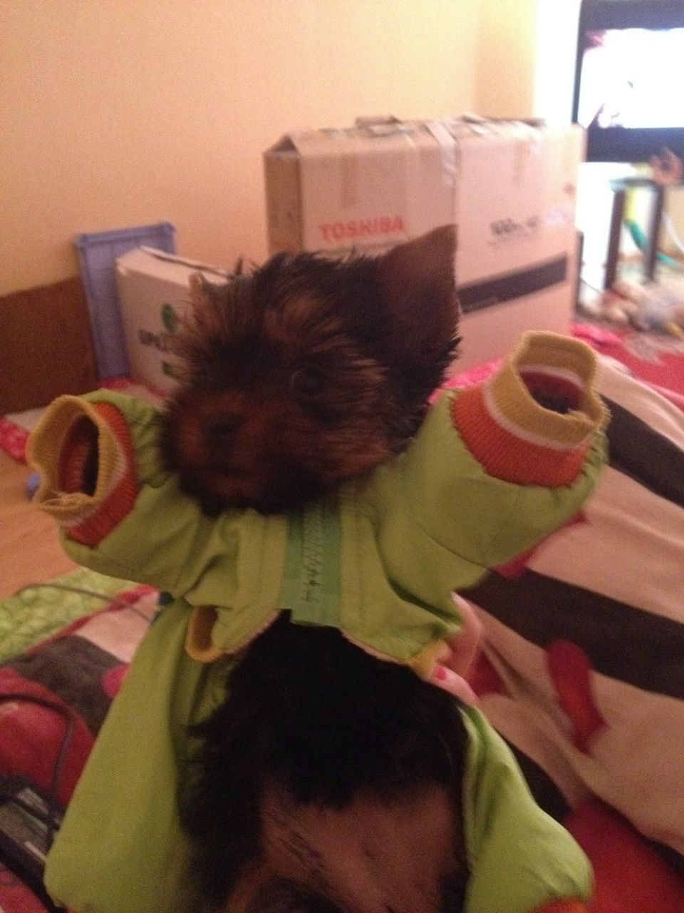 Мила Гареева | Уфа