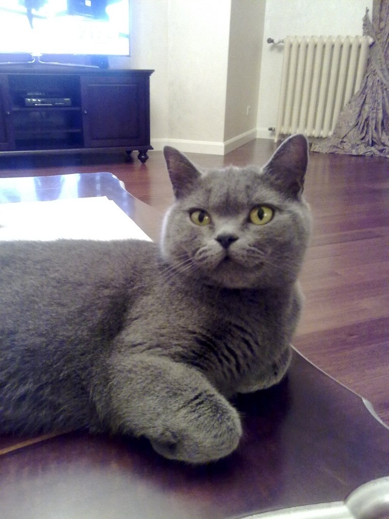 Алёна Мужчук | Киев