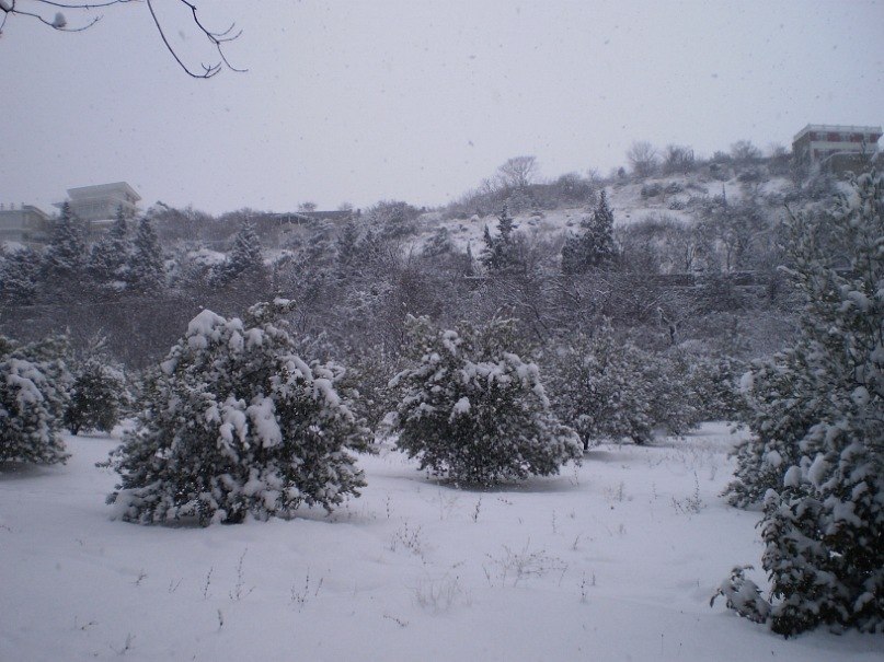 Татьяна Лыткина Викторовна | Йошкар-Ола
