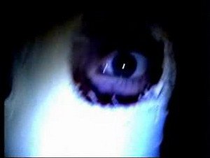 Не Он не | Санкт-Петербург