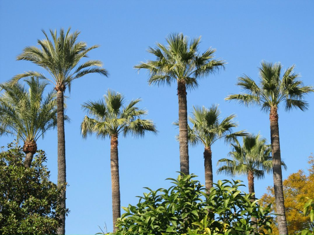 Татьяна Жбанова | Тюмень