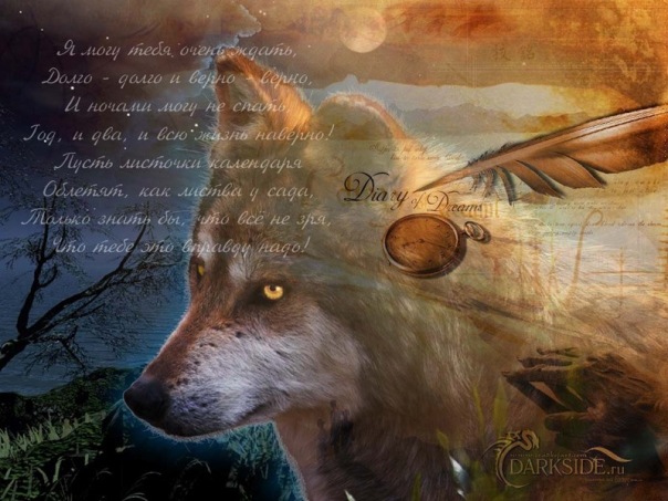 №46, Илья Илюшин, 36 лет, Довольное №46, Илья Илюшин, 36 лет, Довольное