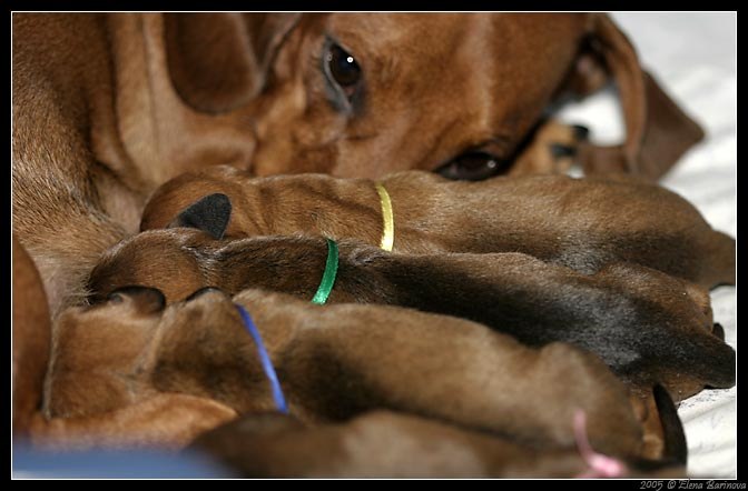 Александра Стойнова | Москва