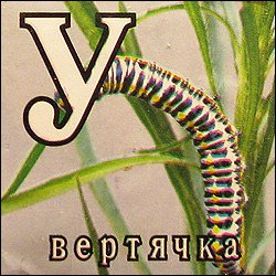 Костя Иванов (Костя Хрр) | Москва