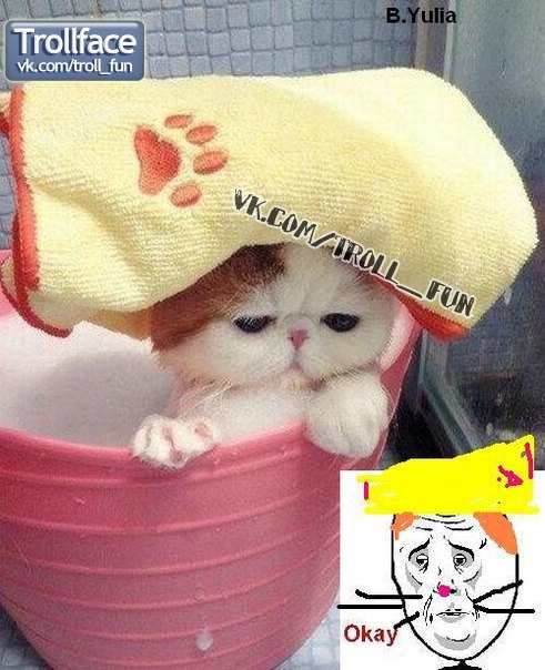 Валентина Макарова PsySonya | Сочи