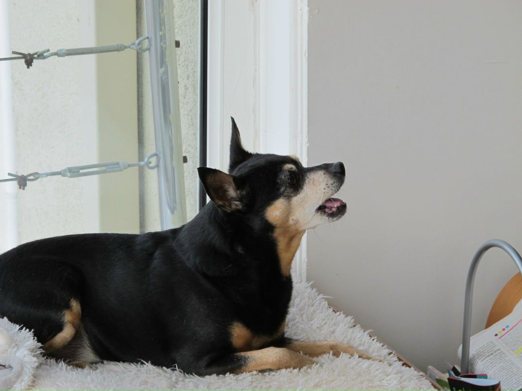 Наталья Павлова | İstanbul