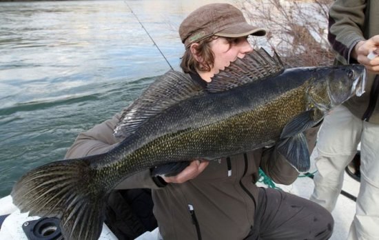 Вадим Скрипай | Харьков