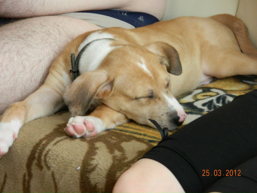 Алексей Вилков | Рязань